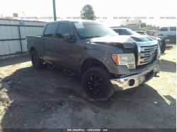 FORD F-150 1FTFW1EFXEKD97465