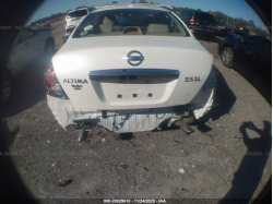 NISSAN ALTIMA 1N4AL2AP7AC116062