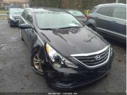 HYUNDAI SONATA 5NPEB4AC0DH715031