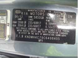 KIA SEDONA KNDMH4C79C6498405