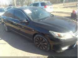 HONDA ACCORD SEDAN 1HGCR2F76FA006683