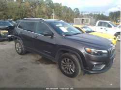 JEEP CHEROKEE 1C4PJMLB7LD612399
