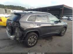 JEEP CHEROKEE 1C4PJMLB7LD612399