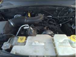 DODGE NITRO 1D4PU4GK3BW576850