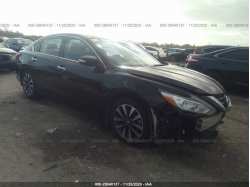 NISSAN ALTIMA 1N4AL3AP0GC278159