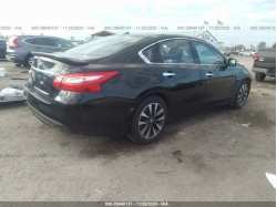 NISSAN ALTIMA 1N4AL3AP0GC278159