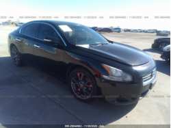 NISSAN MAXIMA 1N4AA5AP8CC834455