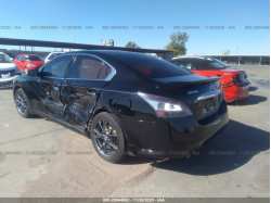 NISSAN MAXIMA 1N4AA5AP8CC834455