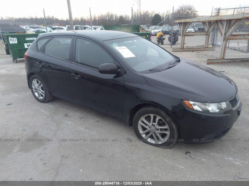 KIA FORTE 5-DOOR KNAFU5A21C5619593