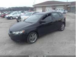 KIA FORTE 5-DOOR KNAFU5A21C5619593