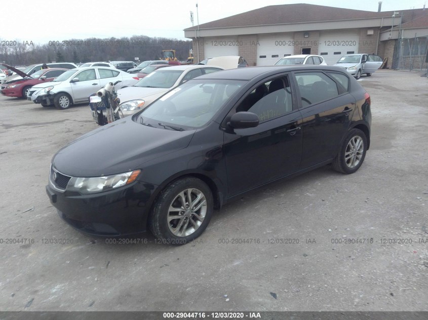 KIA FORTE 5-DOOR KNAFU5A21C5619593