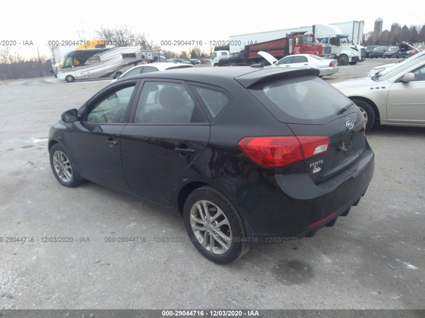 KIA FORTE 5-DOOR KNAFU5A21C5619593