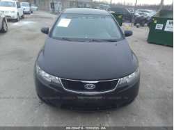 KIA FORTE 5-DOOR KNAFU5A21C5619593