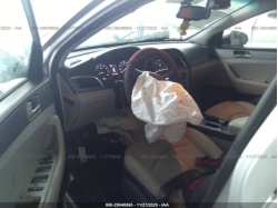HYUNDAI SONATA 5NPE24AF4HH591846