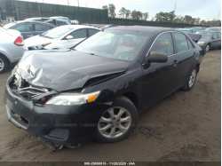 TOYOTA CAMRY 4T4BF3EK2BR184499