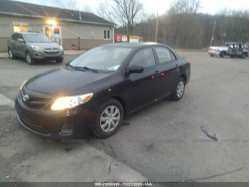 TOYOTA COROLLA JTDBU4EE3B9155469