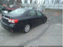 TOYOTA COROLLA JTDBU4EE3B9155469