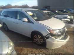 HONDA ODYSSEY 5FNRL5H64EB044760