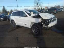 JEEP GRAND CHEROKEE 1C4RJFBG6LC310562
