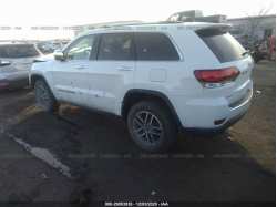 JEEP GRAND CHEROKEE 1C4RJFBG6LC310562