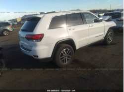 JEEP GRAND CHEROKEE 1C4RJFBG6LC310562