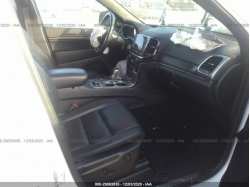 JEEP GRAND CHEROKEE 1C4RJFBG6LC310562