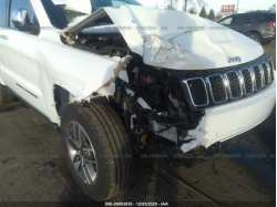 JEEP GRAND CHEROKEE 1C4RJFBG6LC310562