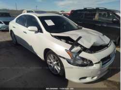 NISSAN MAXIMA 1N4AA5AP8EC447990