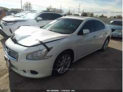 NISSAN MAXIMA 1N4AA5AP8EC447990