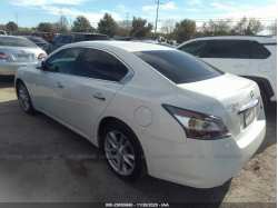 NISSAN MAXIMA 1N4AA5AP8EC447990