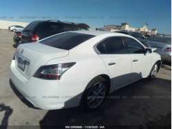 NISSAN MAXIMA 1N4AA5AP8EC447990