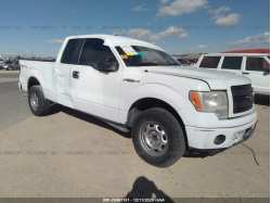 FORD F-150 1FTFX1CF3DFE05042