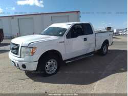 FORD F-150 1FTFX1CF3DFE05042