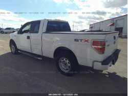 FORD F-150 1FTFX1CF3DFE05042