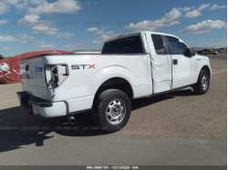FORD F-150 1FTFX1CF3DFE05042