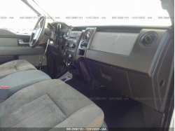FORD F-150 1FTFX1CF3DFE05042