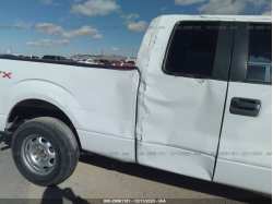 FORD F-150 1FTFX1CF3DFE05042