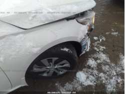 NISSAN ALTIMA 1N4BL4BW6LC247637