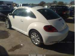 VOLKSWAGEN BEETLE 3VWJL7AT3DM685110