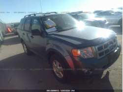 FORD ESCAPE 1FMCU9DG0AKD06310