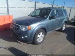 FORD ESCAPE 1FMCU9DG0AKD06310