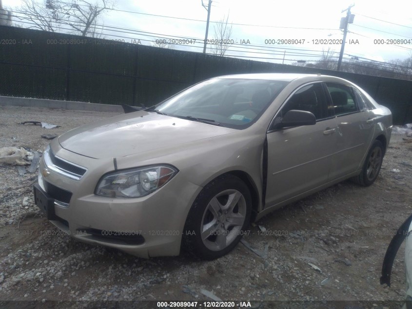 CHEVROLET MALIBU 1G1ZB5E15BF121745