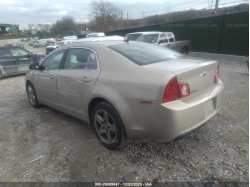 CHEVROLET MALIBU 1G1ZB5E15BF121745