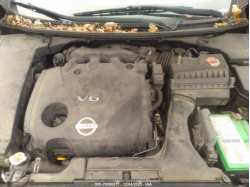 NISSAN MAXIMA 1N4AA5AP0BC827322