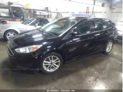 FORD FOCUS 1FADP3F25GL316354
