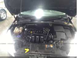 FORD FOCUS 1FADP3F25GL316354