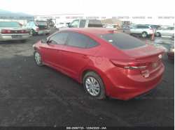 HYUNDAI ELANTRA 5NPD74LF1HH152985