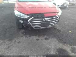 HYUNDAI ELANTRA 5NPD74LF1HH152985
