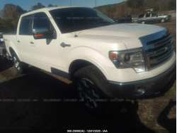 FORD F-150 1FTFW1EF6DKE59684