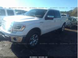 FORD F-150 1FTFW1EF6DKE59684